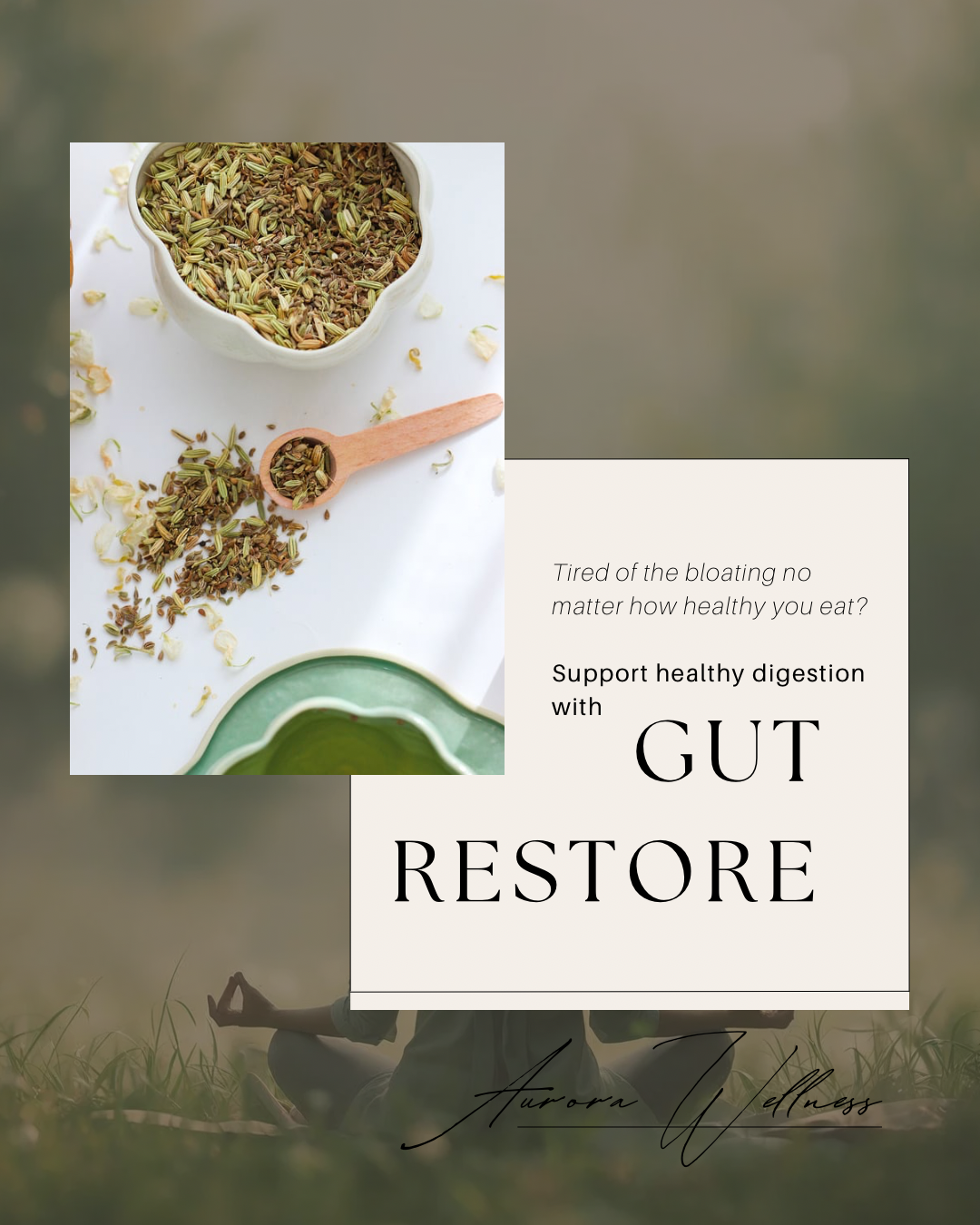 Gut Restore
