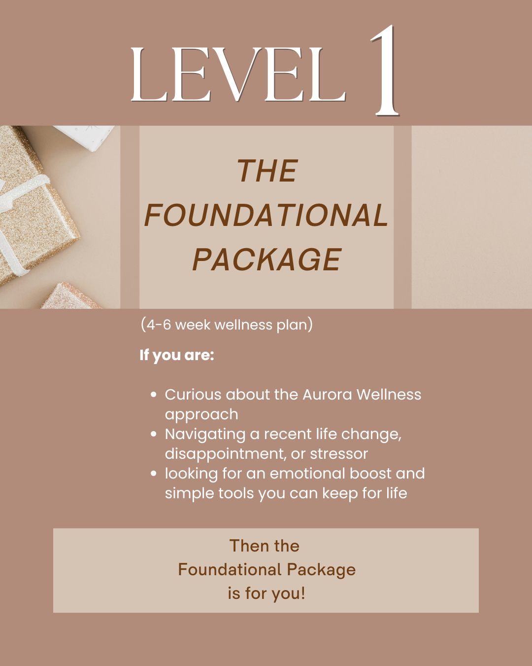 Level 1: The Foundational Package