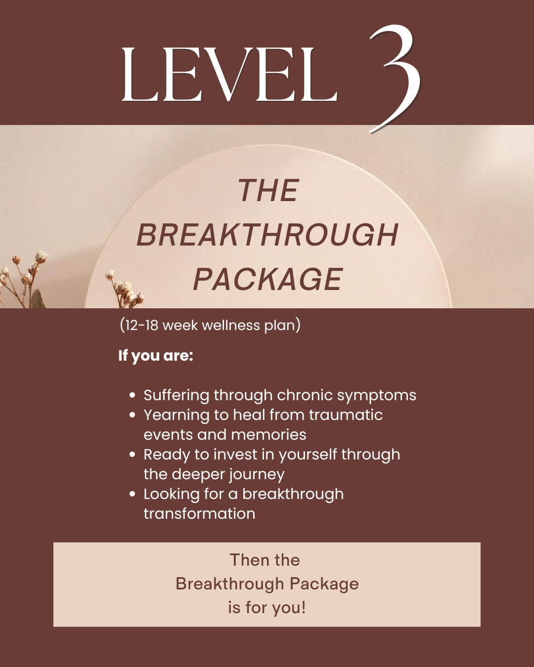 Level 3: The Breakthrough Package